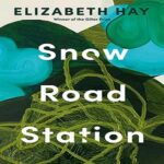 Snow Road Station by Elizabeth Hay